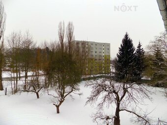 Prodej komerční Činžovní dům, 423㎡ - 6