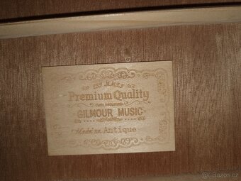 Akustická kytara Gilmour - 6