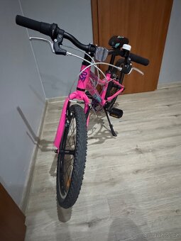 Kolo rockmachine 20’ - 6