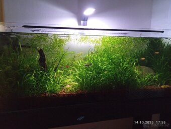 Prodám akvárium 160 l - 6