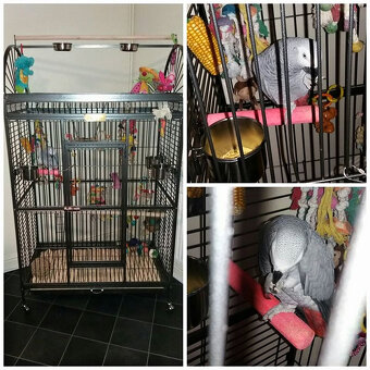 Klec pro ptáky - voliéra XXL - 6