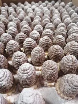 Domácí vánoční cukroví z másla 1 kg 900 - 6