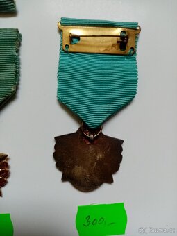ČK - 6