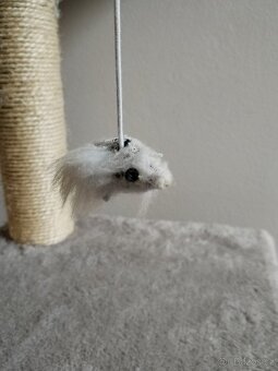 Škrabadlo pro kočky - 6