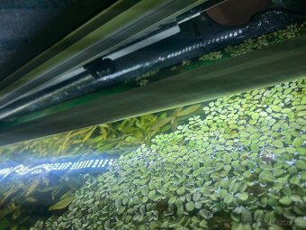 Akvarijní set Fine 200l se skříňkou - 6