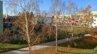 Pronájem bytu 2+1  Na Radouči Mladá Boleslav - 6