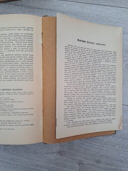 Přírodní léčba a domácí lékař (Šimsa) + Domácí lékař - 6
