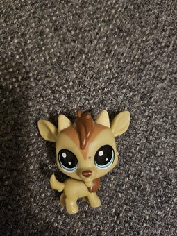 Littlest pet shop - 6