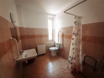 Pronájem bezbariérového bytu 1+kk 30 m² Ryžoviště, okres Bru - 6