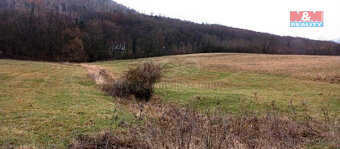 Prodej louky, 8010 m², Třebušín - 6