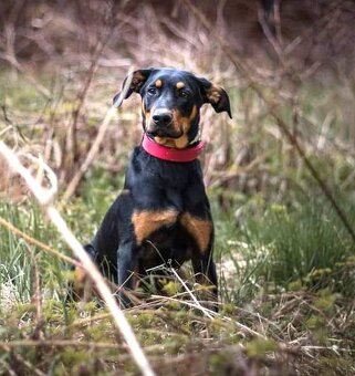 Úžasňák Lolek hledá domov - 6