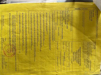 Prodám želvu vroubenou samce 19 let i s teráriem a stolek - 6