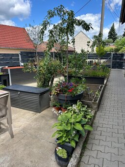 Prodej rodinného domu 235 m², pozemek 192 m² Antonínská, Dol - 6