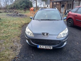 Peugeot 407SW - 6
