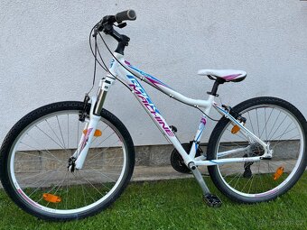 Horské kolo ROCK MASCHINE kola 26 - 6