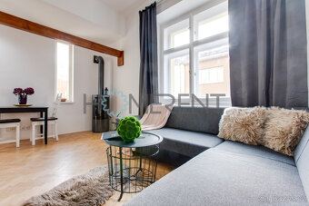 Útulné 1+kk s vyvýšeným spaním a balkónkem u Folimanky – kli - 6