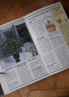 Květiny od A do Z - 6