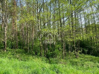 Prodej stavebního pozemku, Černá v Pošumaví - 6