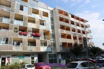 Pronájem bytu 1+kk , 26 m2, v Olomouci, ul. Kavaleristů - 6