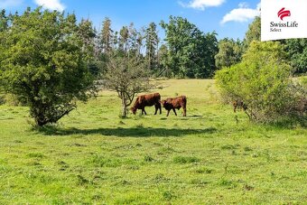 Prodej louky 294722 m2, Vrchotovy Janovice - 6