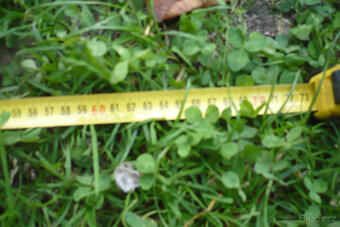 Kalač a pákové nůžky - 6