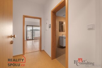 Pronájem, byty/1+kk, 36 m2, Měděná 3064/5, 30100 Plzeň, Plze - 6