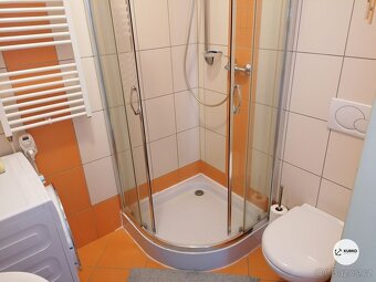 Pronájem bytové jednotky 1+1, ul. Bezručova, Frýdek-Místek - 6