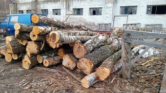 palivové dřevo - 6