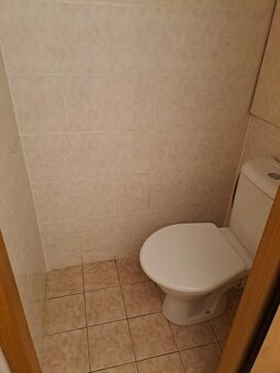 Pronájem bytu 2+1 - 6