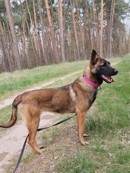 FREYA K ADOPCI - dokonalá parťačka - 6