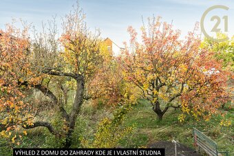 Rodinný dům 5+1 v klidné ulici Mexická, Moravské Budějovi... - 6