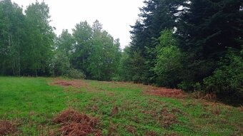 Nabídka prodeje louky/ pozemku v Milíkově – 3857 m² - 6