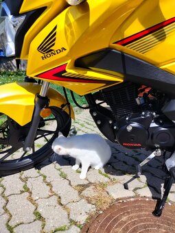 Honda cb125f - 6