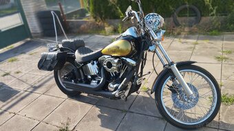 Harley Davidson softail - 6