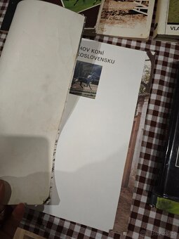 Knihy o koních - 6