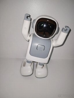 Program dancer Robert robot - 6
