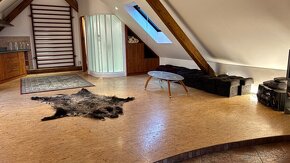 Prodej, podkrovní byt s terasou + hala, 60m2 + 100m2 + 100m2 - 6