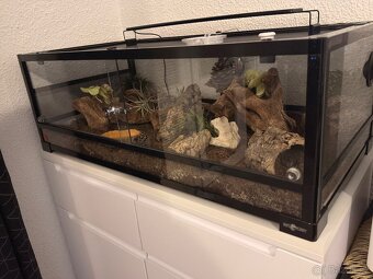 Terárium ReptiPlanet vybavené. - 6