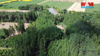 Prodej lesa, 5323 m², Opařany - 6
