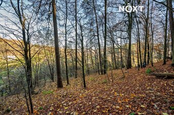 Prodej pozemek Bydlení, 3487㎡ - 6