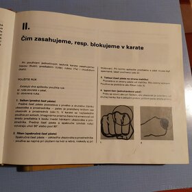 základy judo, karate, akrobacie, kondiční posilování, výživa - 6