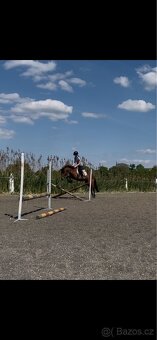 Klisna pony - 6