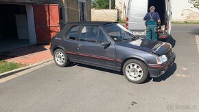 Peugeot 205 CTi - 6