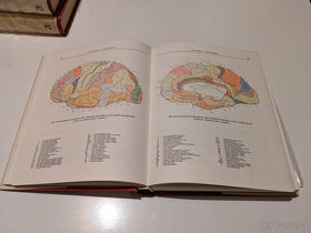 Atlas anatomie člověka - 6