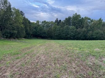 Prodej pozemků Sebranice u Boskovic 32238 m² - 6