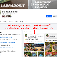 Labradorit - přes 1 Kg - 6