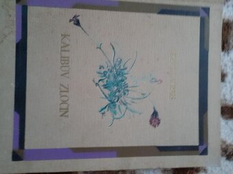 K.V.RAIS - 6