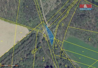 Prodej lesa, 13906 m², Budyně nad Ohří - 6