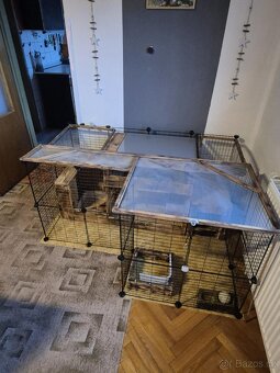 Ohrádka králíka - 6