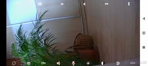 IP kamera s nočním viděním - 6